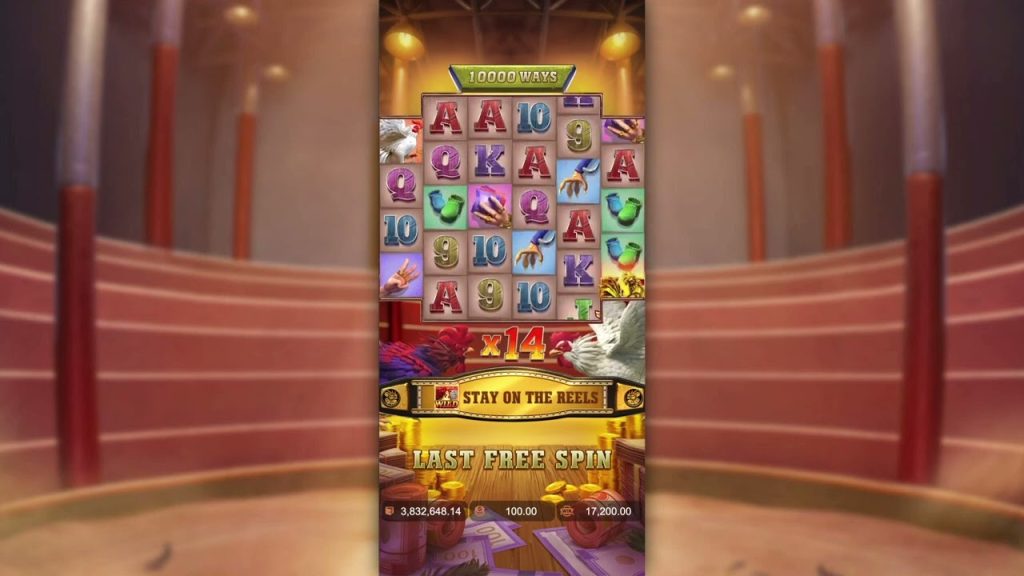 Slot Rooster Rumble Ternyata Punya Pola Gacor Super Ngeri!