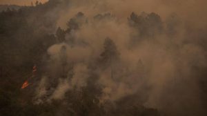 Spanyol Terbakar 1.640 Hektar Hutan Musnah Terbaru