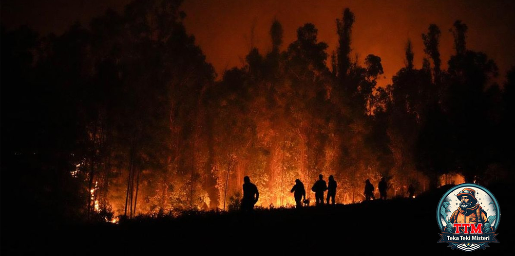 Spanyol Terbakar 1.640 Hektar Hutan Musnah Terbaru