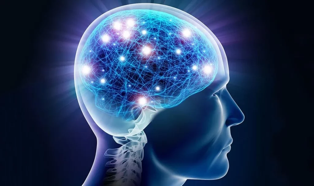 Otak Kanan vs Otak Kiri: Mitos vs Fakta Perlu Kamu Tahu