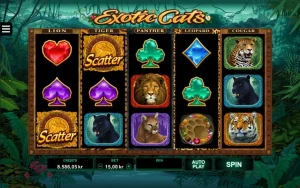 Exotic Cats Nggak Ketulungan Gemesnya