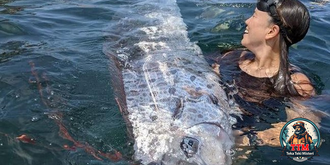 Ikan Oarfish: Mitos Kiamat vs Fakta Ilmiahnya!