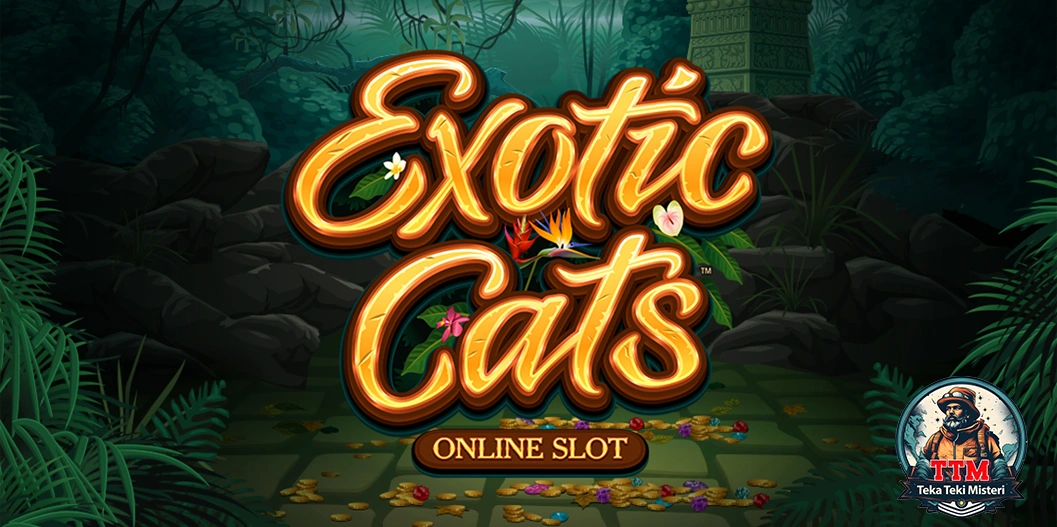 Exotic Cats Nggak Ketulungan Gemesnya